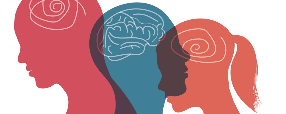 Illustrationen visar tre huvuden med synliga hjärnor.