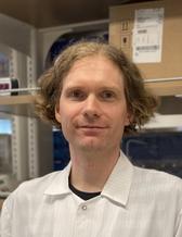 Mattias Svensson, researcher at the department of rheumatology and inflammation research,