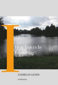 I Hear Voices in Everything book cover