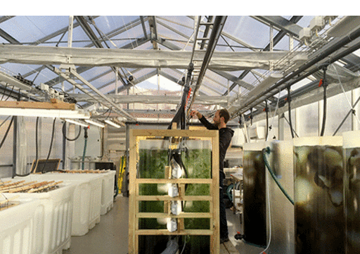 Interior set-up in Seaweed house, with cultivation tanks with algae, pipes etc.