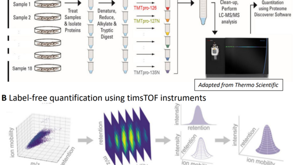 TMT-18plex and label-free quantification is displayed