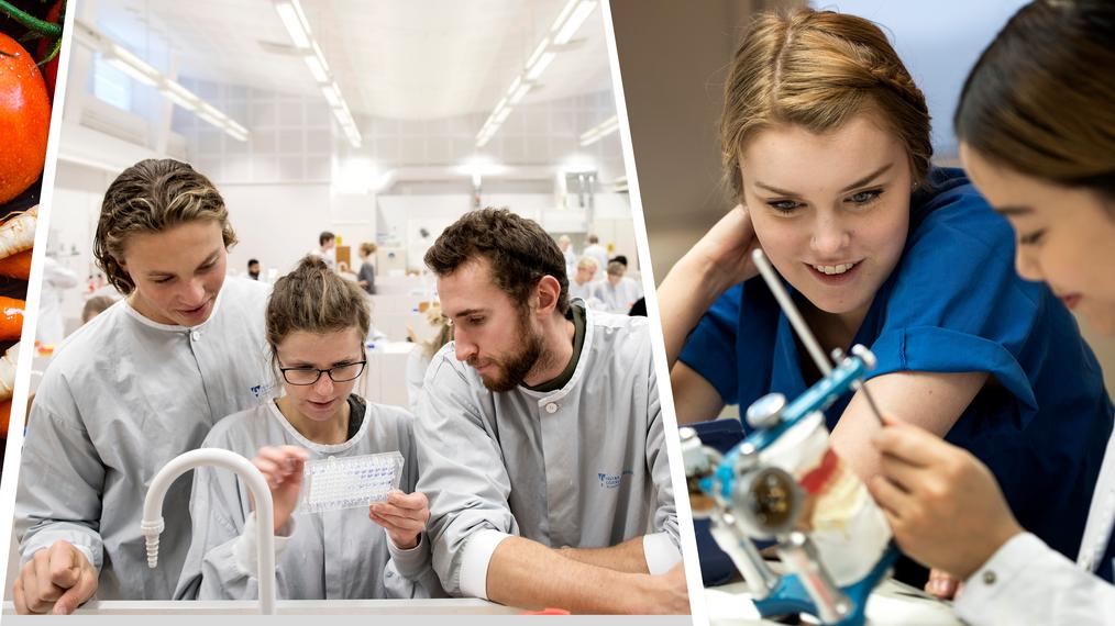 Kurser och program  Sahlgrenska akademin, Göteborgs universitet