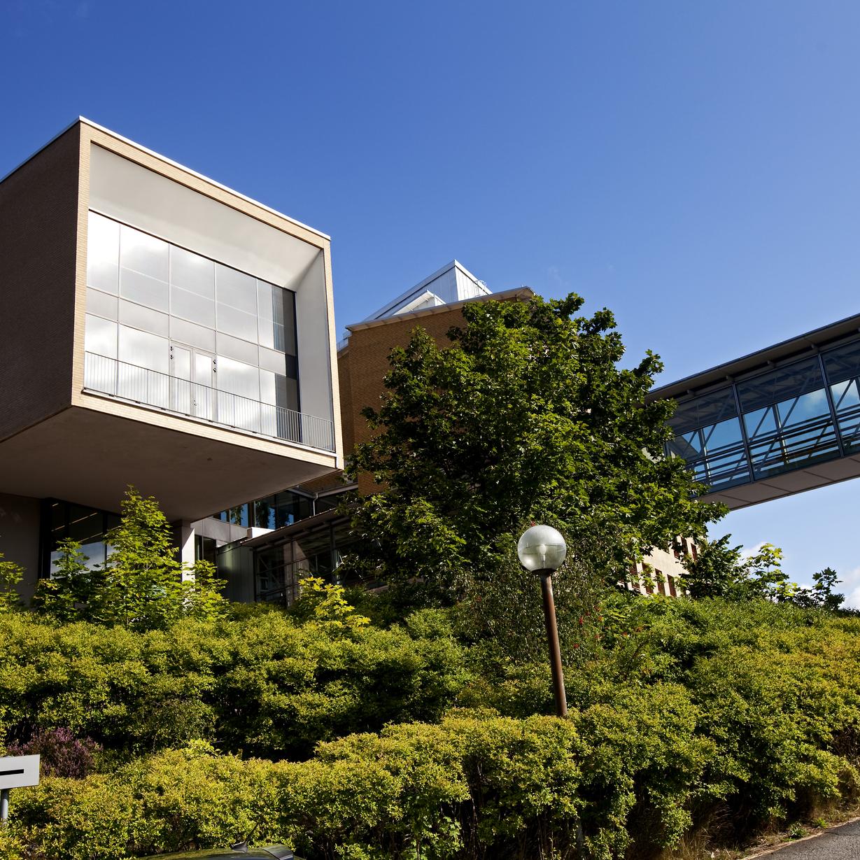 Sahlgrenska akademin, Göteborgs universitet