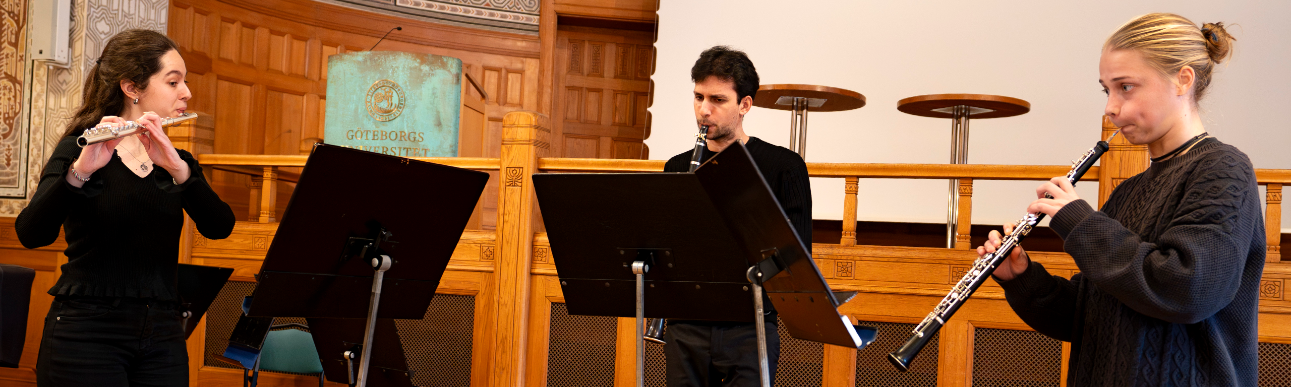The Classical Musician with a Pedagogical Focus | University of Gothenburg