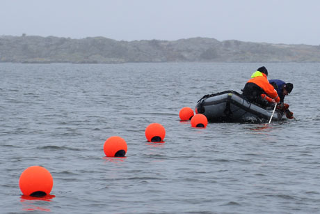 Five orange buoys on the sea surface and an inflatable boat