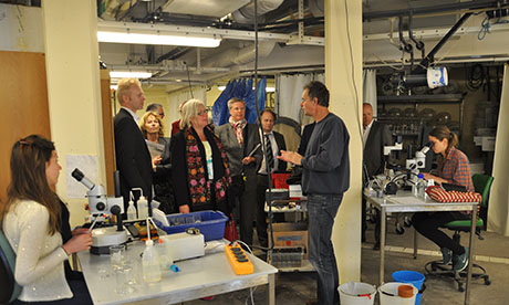 Anställda vid Näringsdepartementet på besök i planktonlabbet