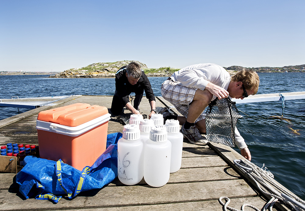 Scientists on a jetty with plastic bottles for water samples and other equipment