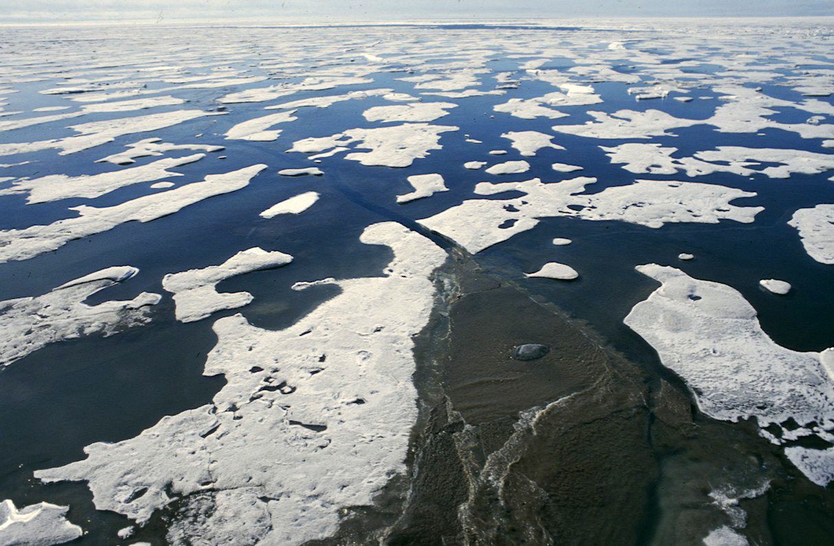 Översikt över tundran.