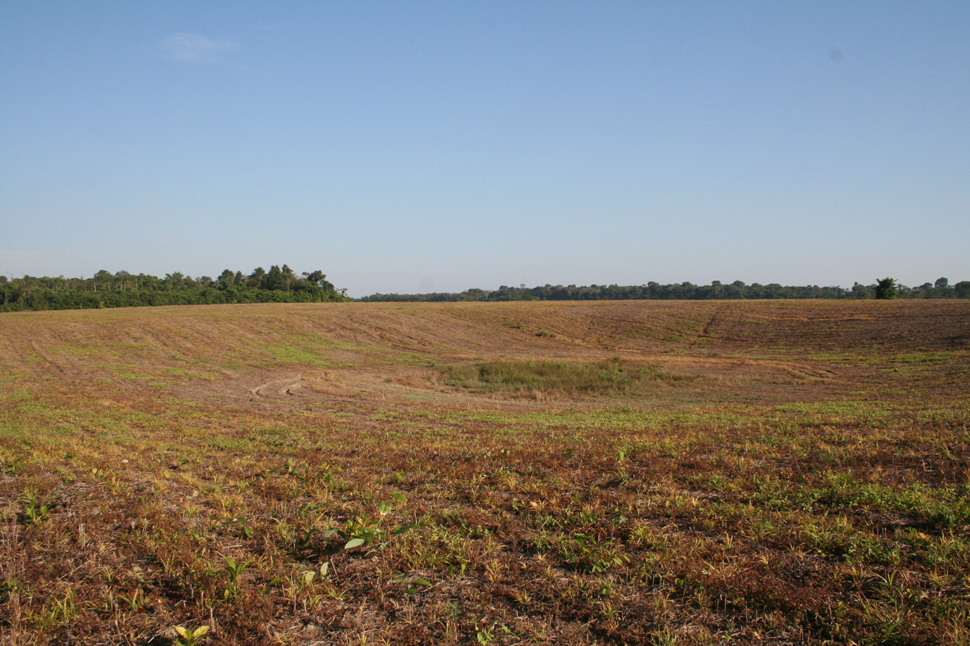 Large depression visible in contemporary farmland. Location: Ramal do Funil. Photo: Per Stenborg.