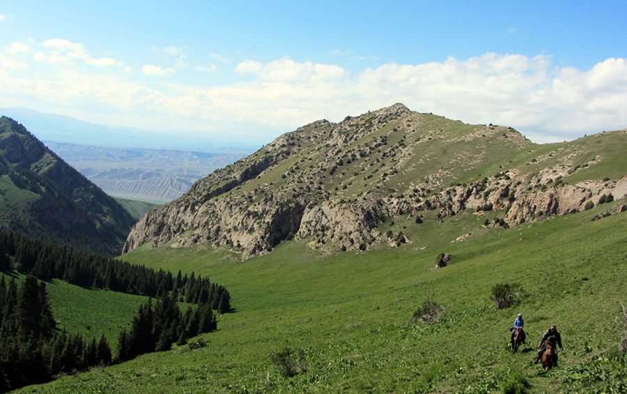 Forskare rider tillbaka till boendet efter att ha tagit prover på enar som växer på berget i Naryn, Kirgizistan.