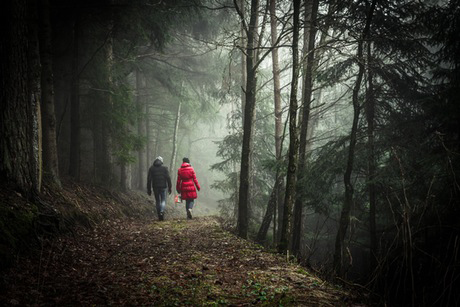 Par vandrar i skogen.