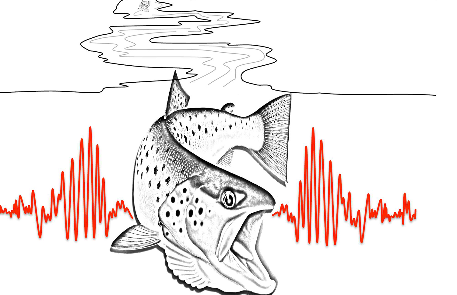 Illustration of a fish