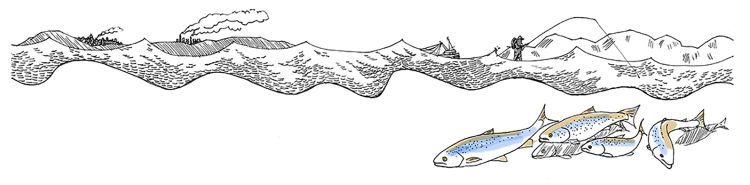 Illustration av hav och fiskar