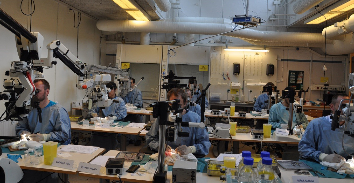 Mikrokirurgikurs vid Göteborgs universitet