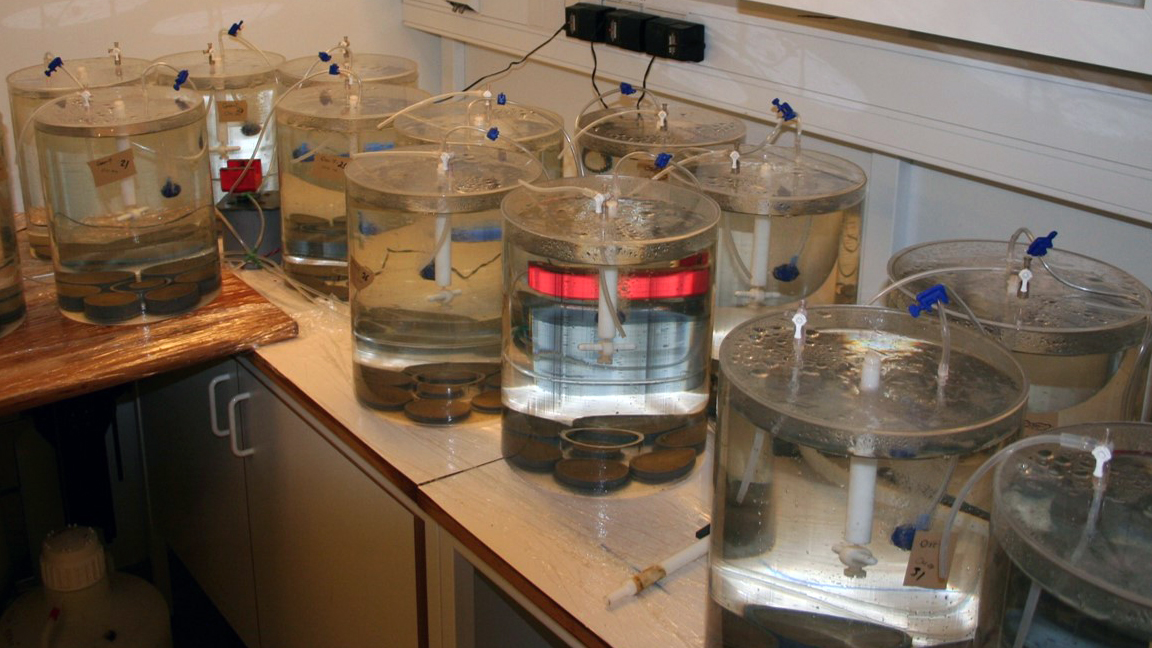 Experimentuppsättning