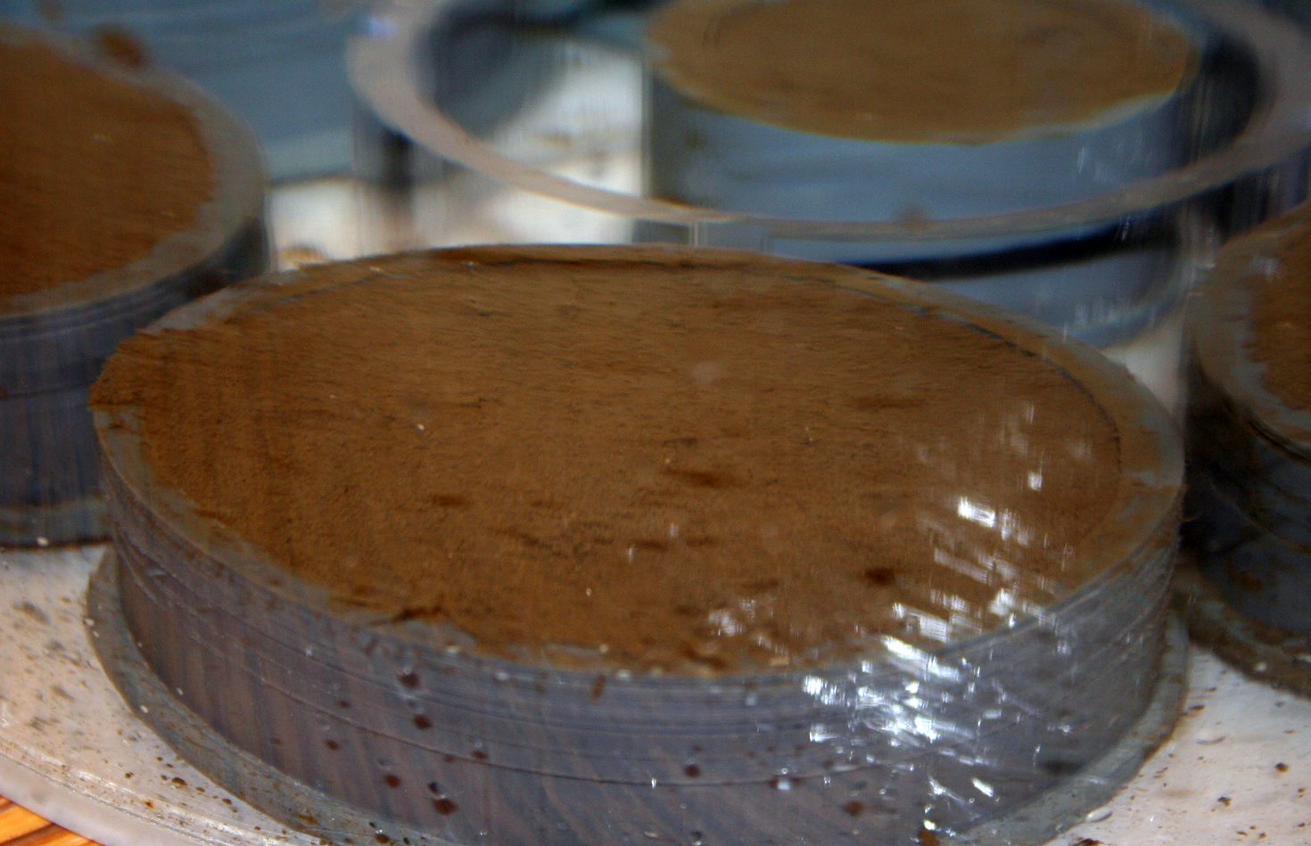 Närbild av manipulerat ytsediment.