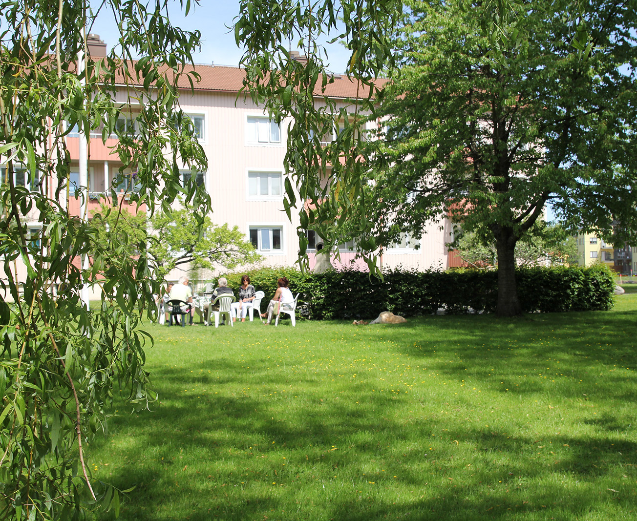 Grönomårde med träd, buskar och gräsmatta vid ett flerfamiljshus 