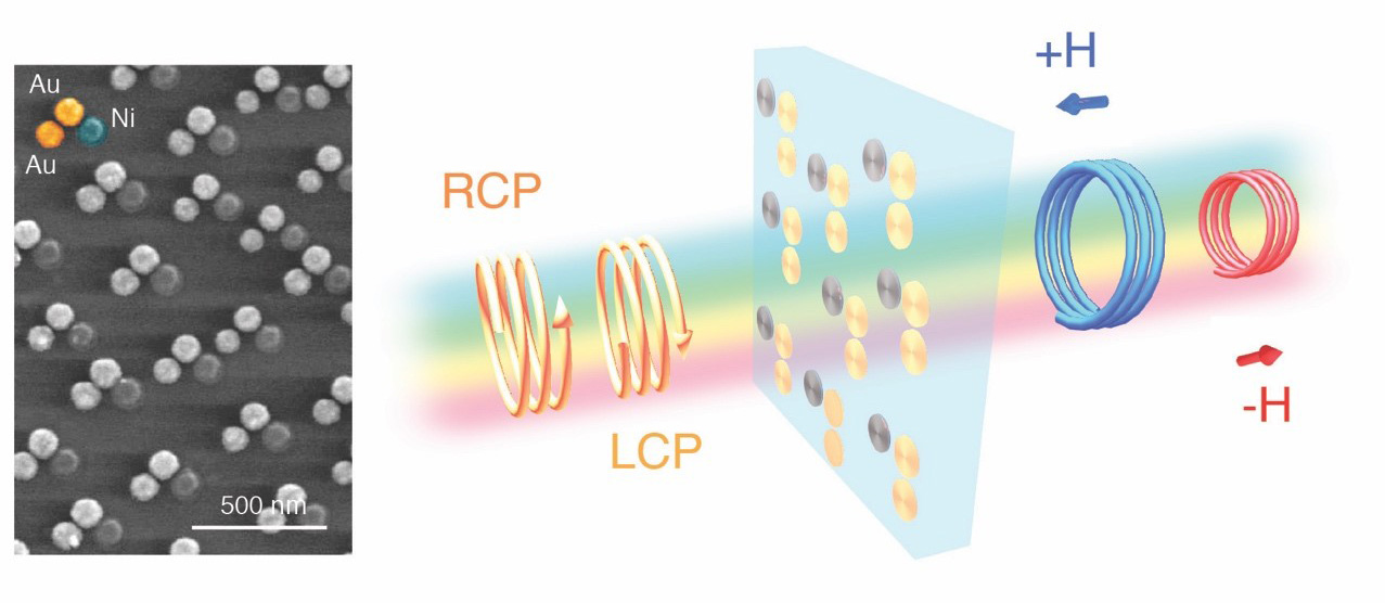 modell över hur ljuset färdas igenom glasskivan med nanoantenner