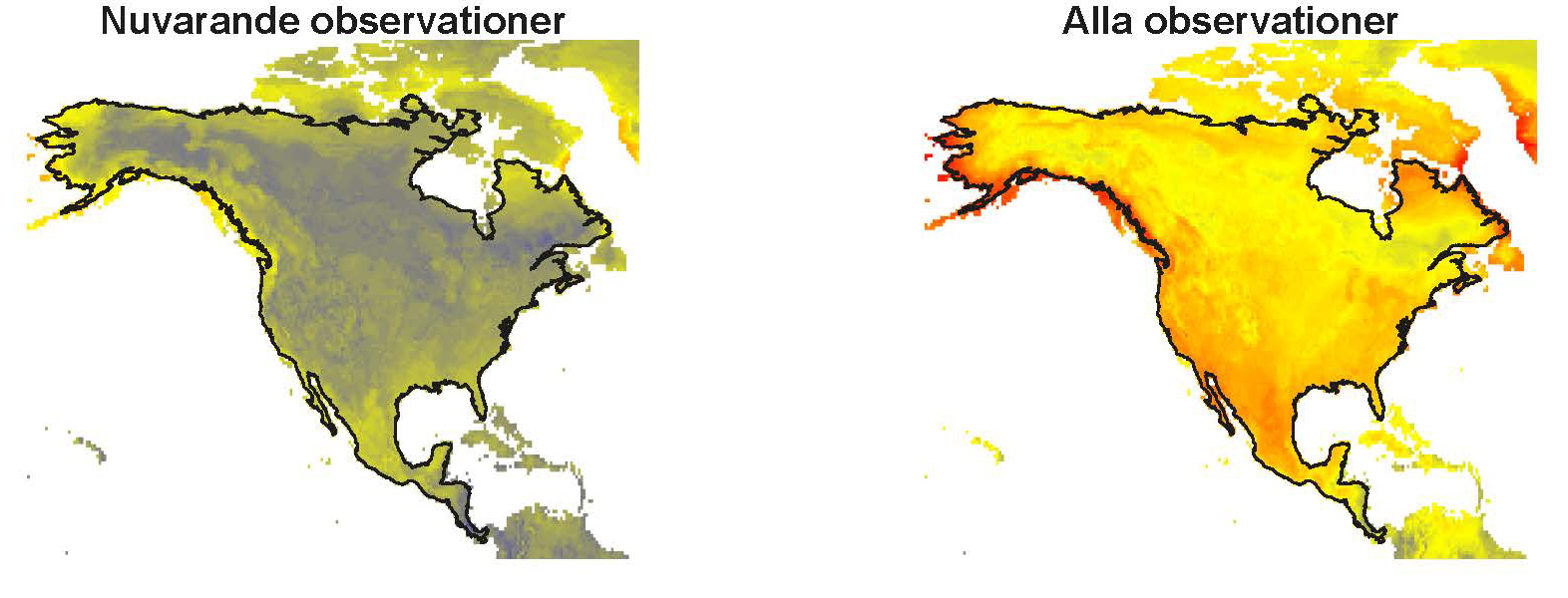 Två kartor över nordamerika som visar olika prognoser om antal stora däggdjur