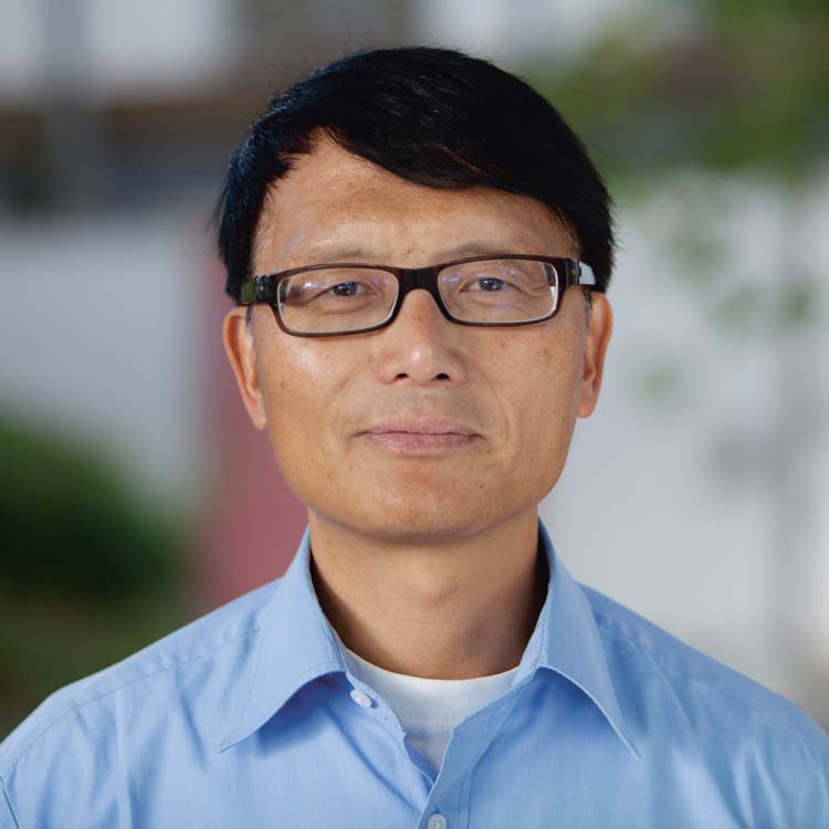 Professor Deliang Chen