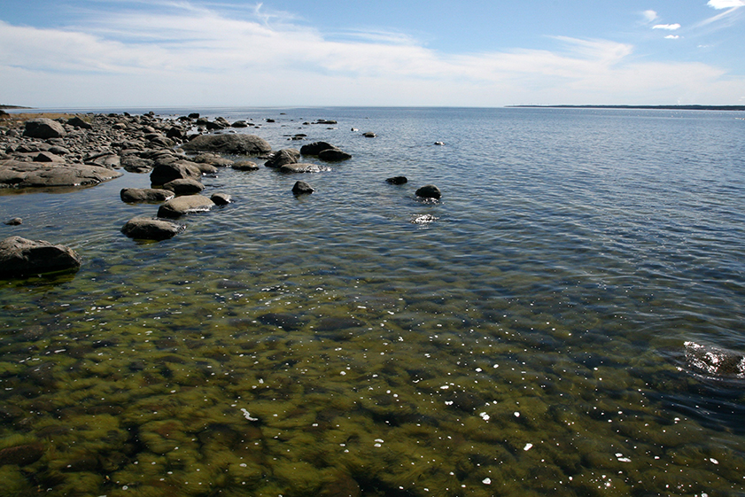 havsbild med horisont och en stensand