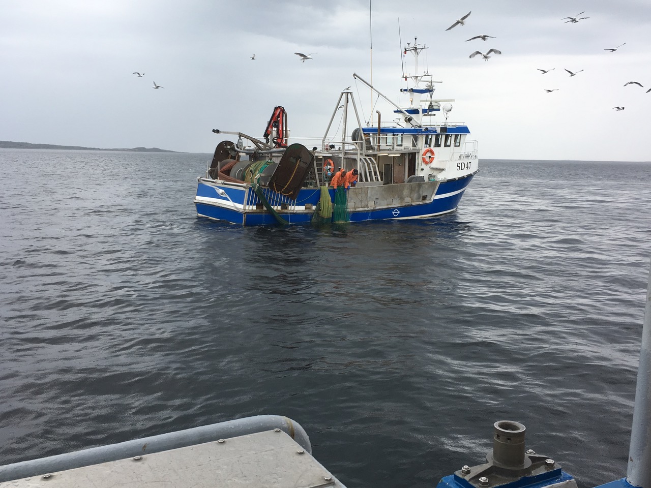 Fiskebåt till havs. 