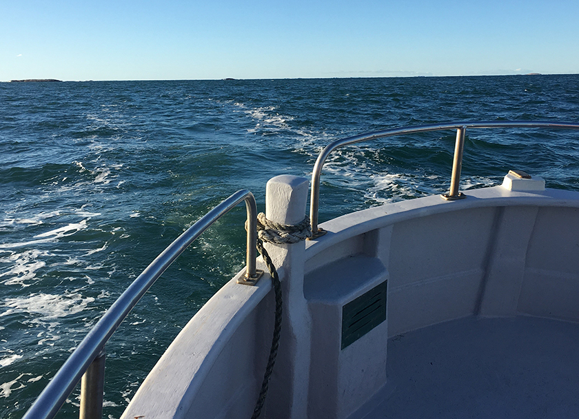 photo from a sunny day at the sea. part of a bow of a small motor boat