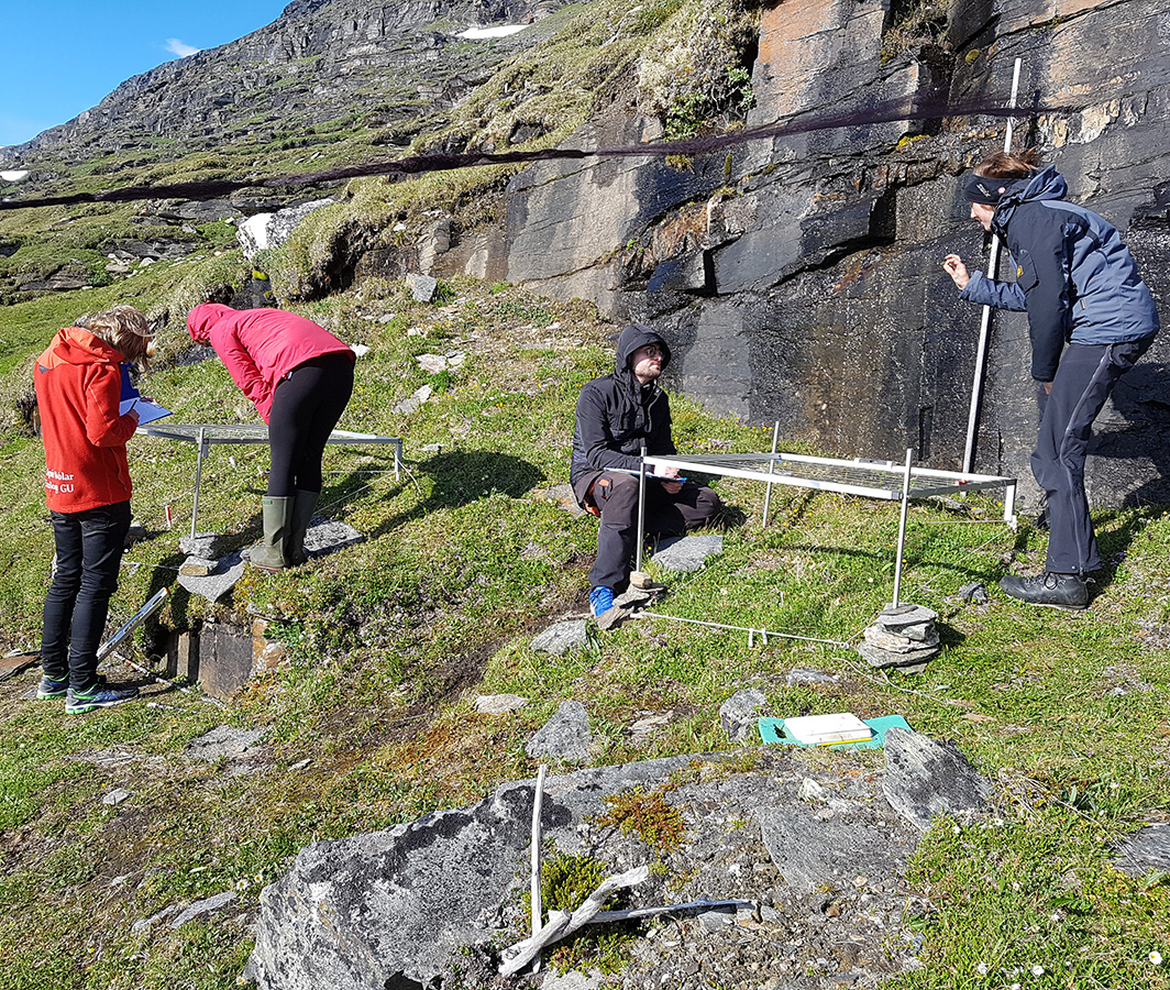 fyra forskare som mäter med märinstrument. 