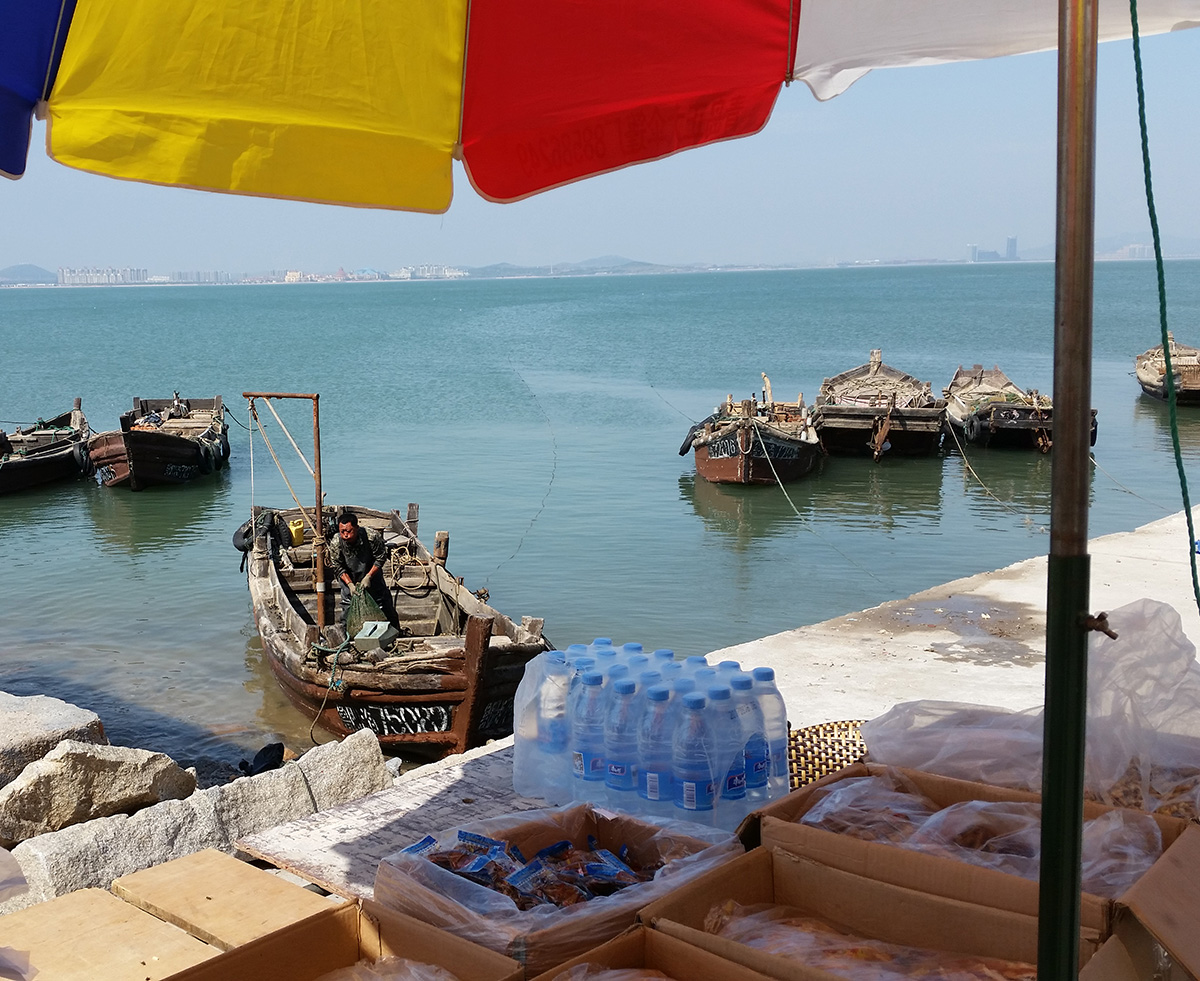 bild från hamn med mindre fiskebåtar i tropisk miljö