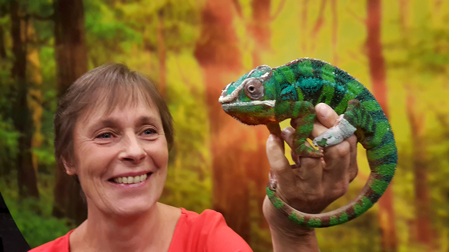 Kristina "Snuttan" Sundell håller en kameleont