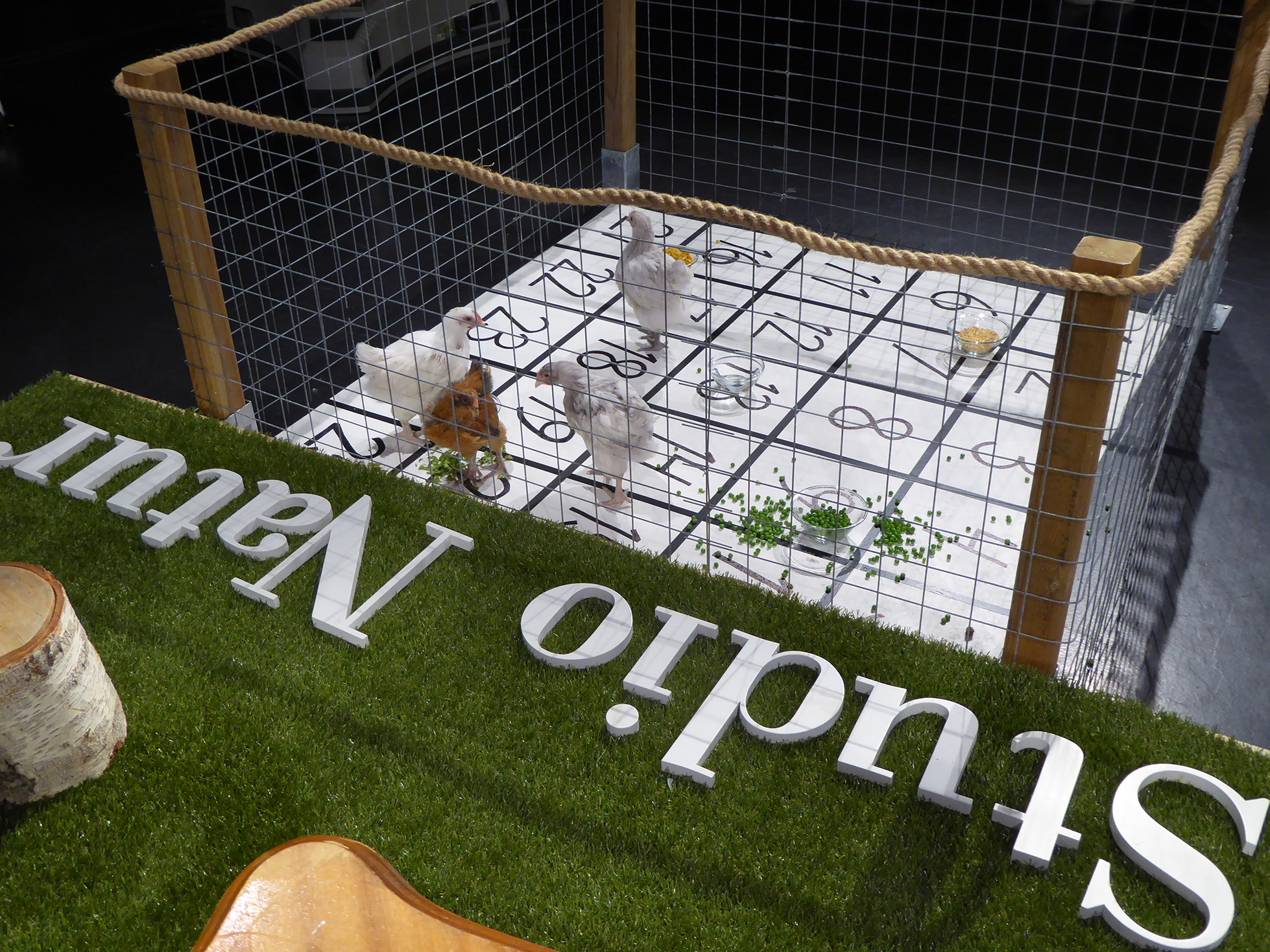 rkvesita till programmet studio natur