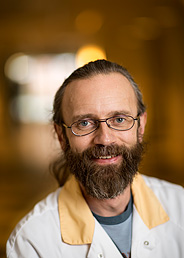 Henrik Zetterberg. Foto: Johan Wingborg.