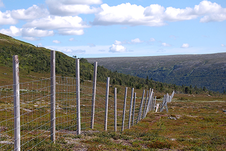 Gränsen mellan Norge och Sverige