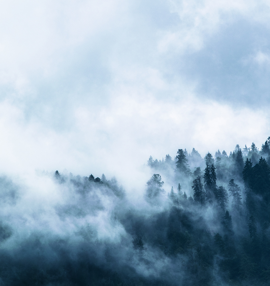 Kraftig rök från skog