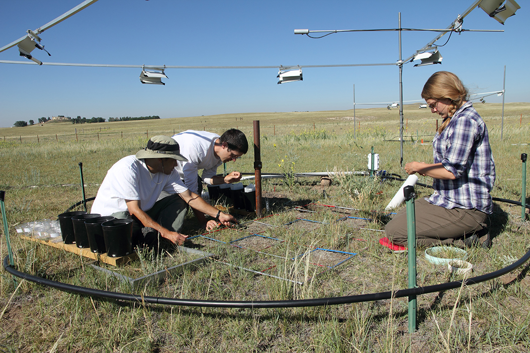 Forskarna arbetar med sitt försök på plats