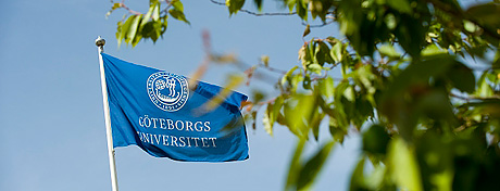 Göteborgs universitets flagga.