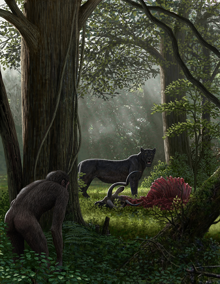 Painting of the now extinct saber-toothed cat Dinofelis eating. Human-like figure watching.