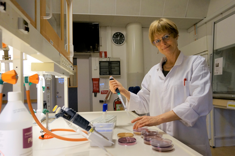 Foto på Stina-Mina Ehn Börjesson i labbet