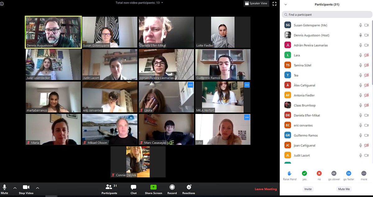 Ett rutnät med 17 personer framför kameror som undervisas digitalt.