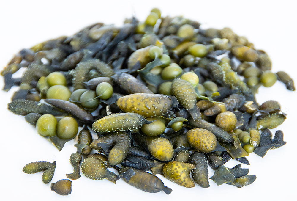 Ingridienser i form av blåstång och rörhinna