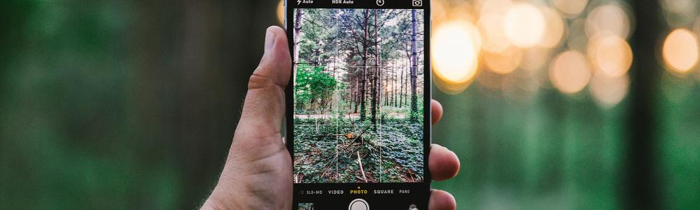 smartphone fotograrerar skog