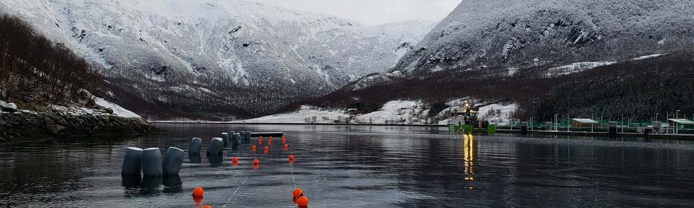 Delar av vattenbruksforskninger sker i Andalsvågen, Norge 