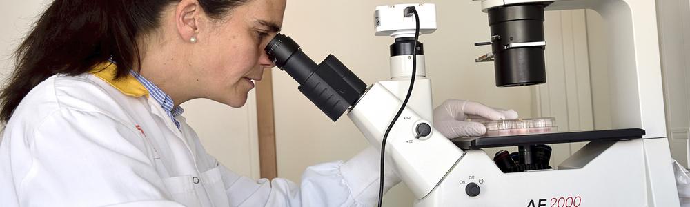 Forskare vid mikroskopet