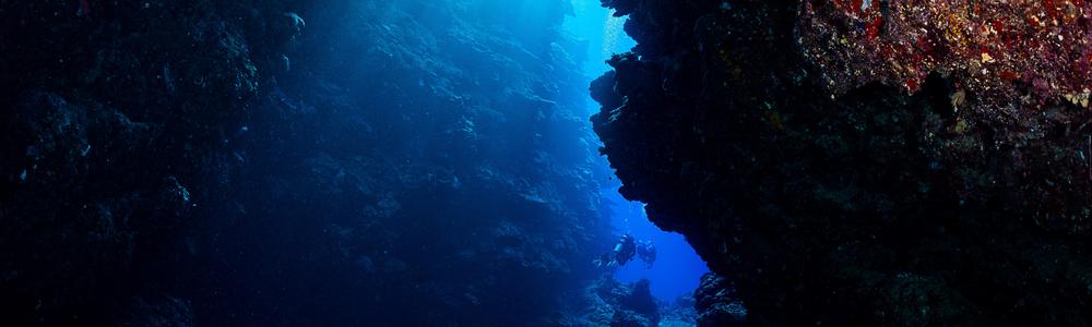 Diver Salomon Islands
