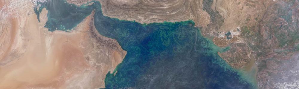 Satellitbild över algblomning i Arabiska sjön