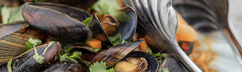 Musslor med kokosmjölk och röd curry