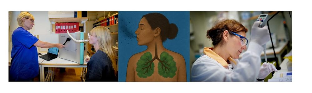 bildcollage forskningsmiljö