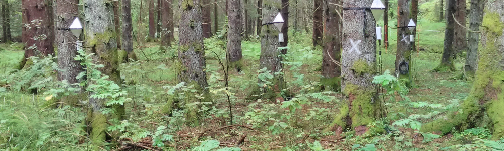 Skogryd forskningsstation