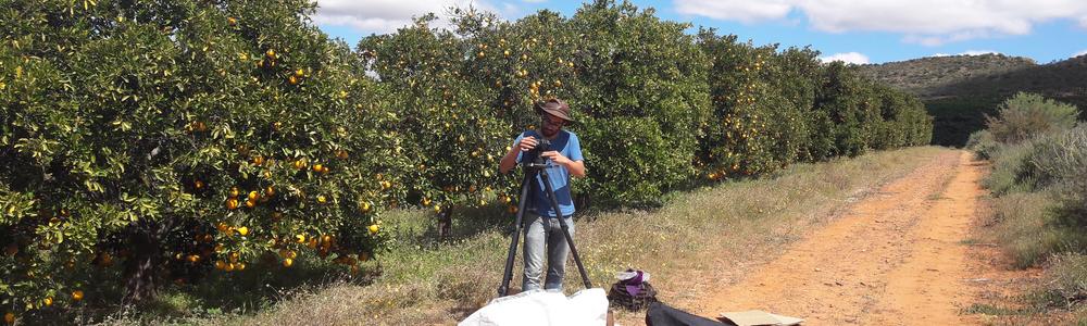 Photo of PhD student Thaabiet Parker, taking spectral images of the flowering heads of individuals in the florally variable Dimorphotheca pluvialis-sinuata complex.