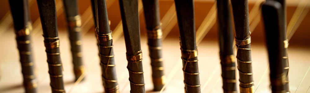 A closeup of the tuning pins of a harpsichord